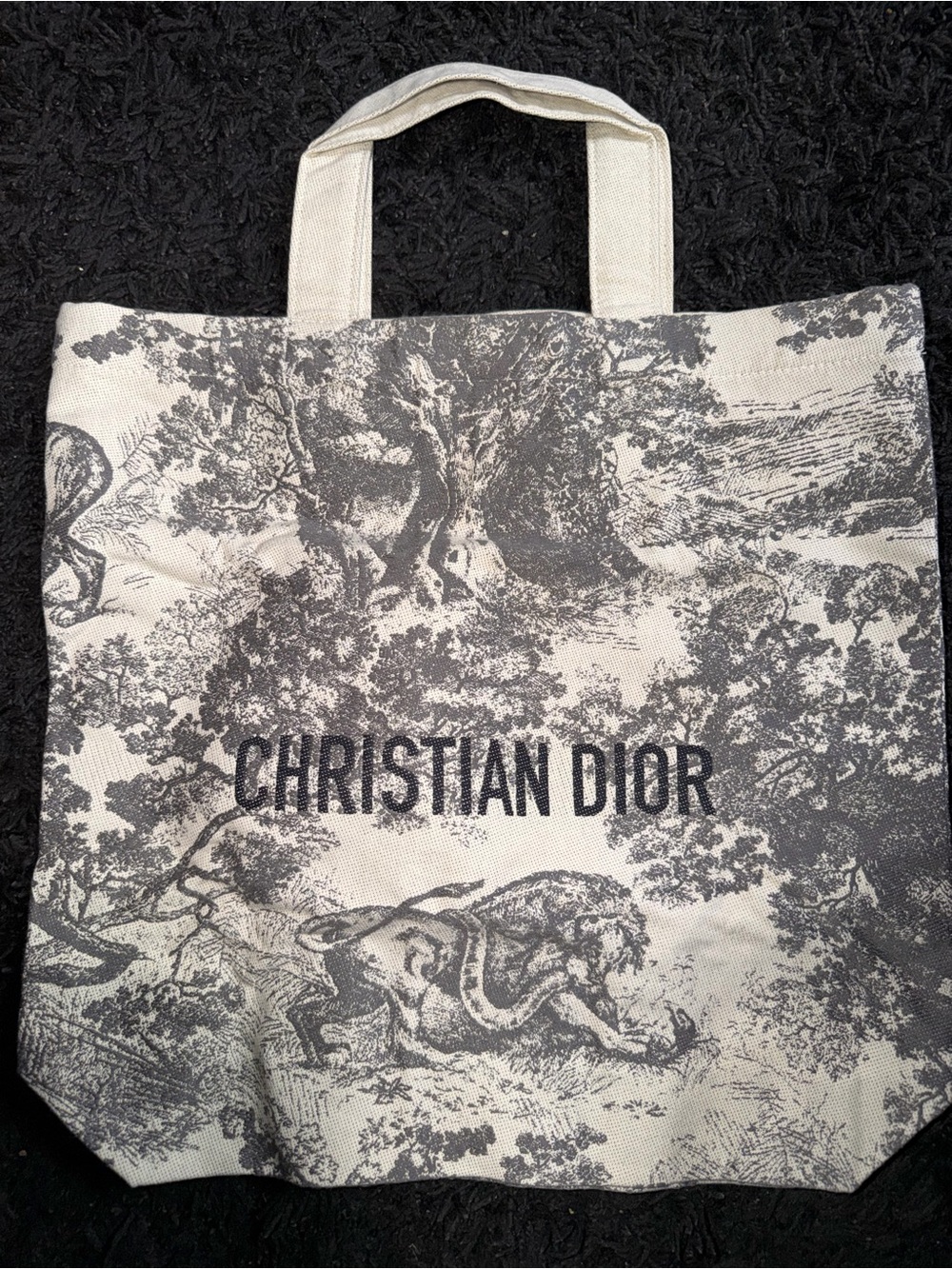 Christian Dior Dioriviera Beauty Tote Bag